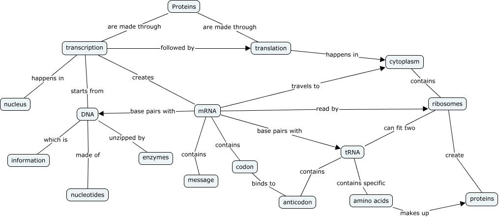 Protein Concept Map